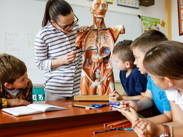 Lærer underviser børn i anatomi
